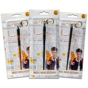Harry Potter Key Chains