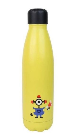 Minions metal water bottle