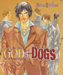 Manga adult graphic novels