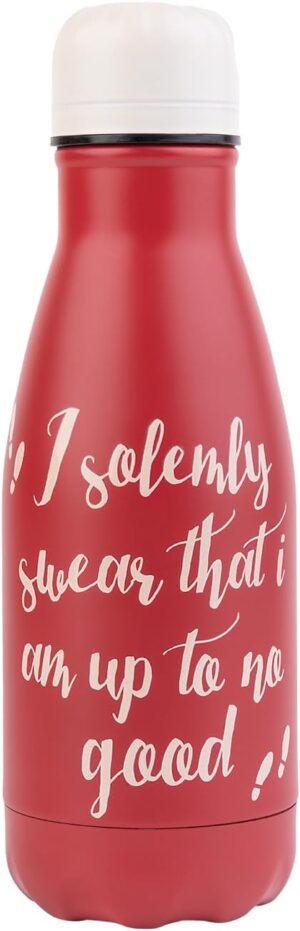 Harry Potter Wizarding World Stainless Steel Drinks Bottle