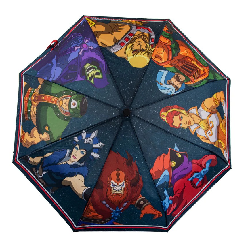 He-Man MOTU Umbrella - Image 3